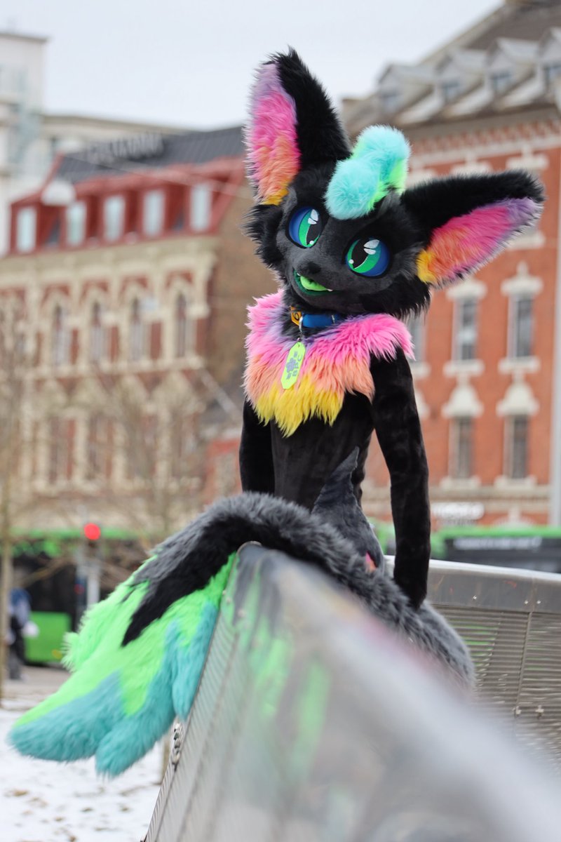 MaxFilmsVR tweet media