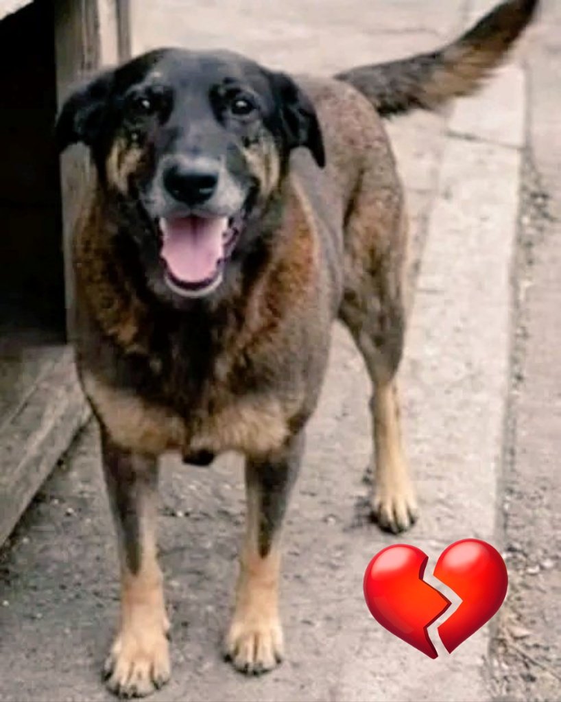 Lola 🧠🎯 tweet media