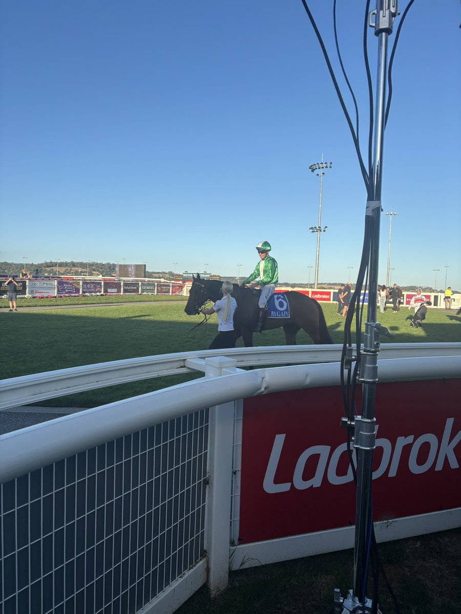 Nick Quinn tweet media