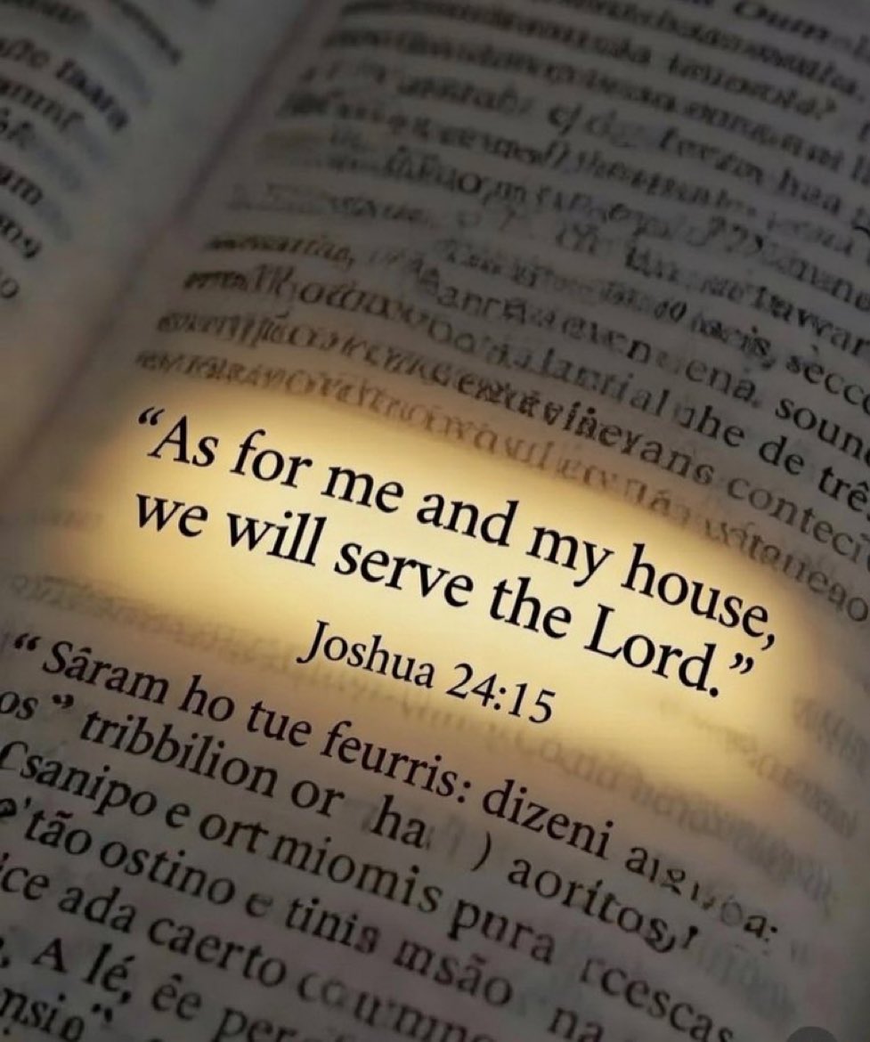 Bible 365 tweet media