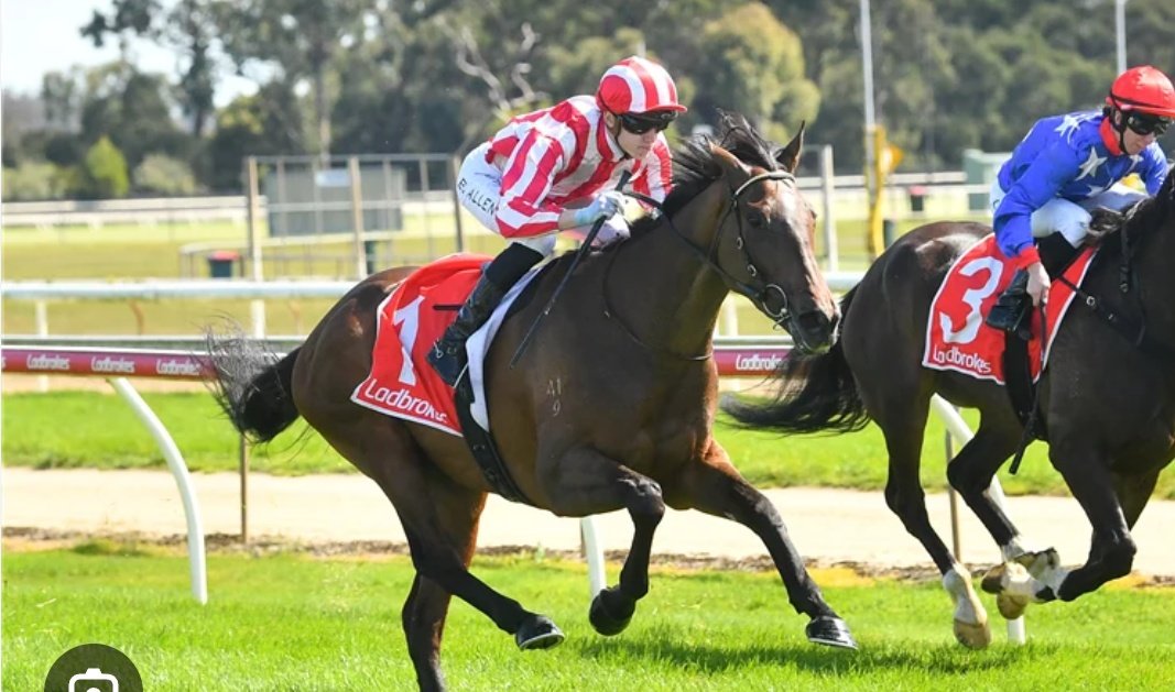 Pania Hall tweet media