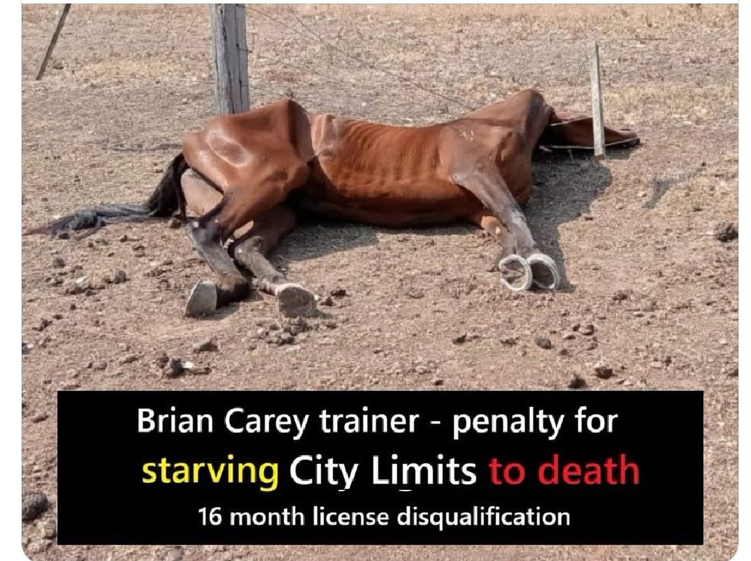 Pania Hall tweet media