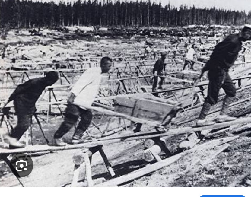 Postypat tweet media