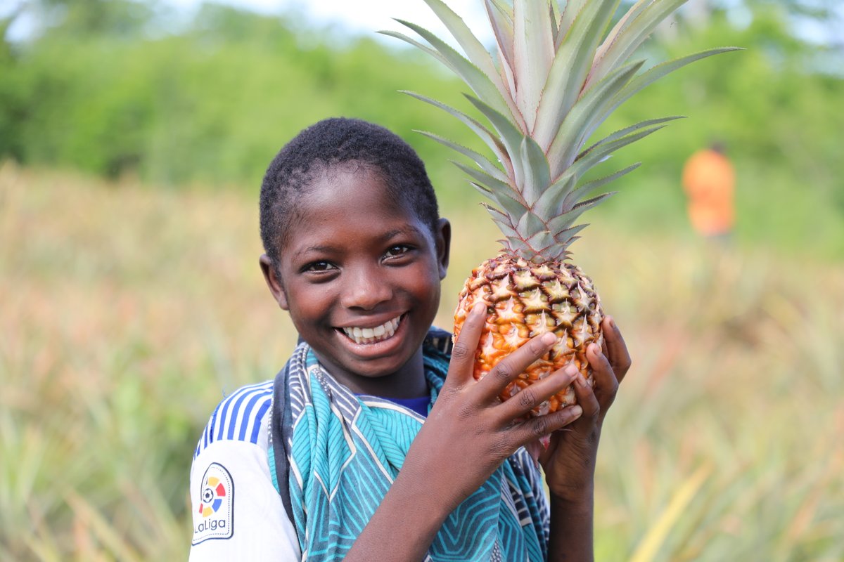 World Vision-Moçambique tweet media