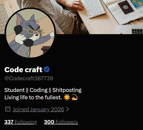 Code craft (@Codecraft387739) / Posts / X