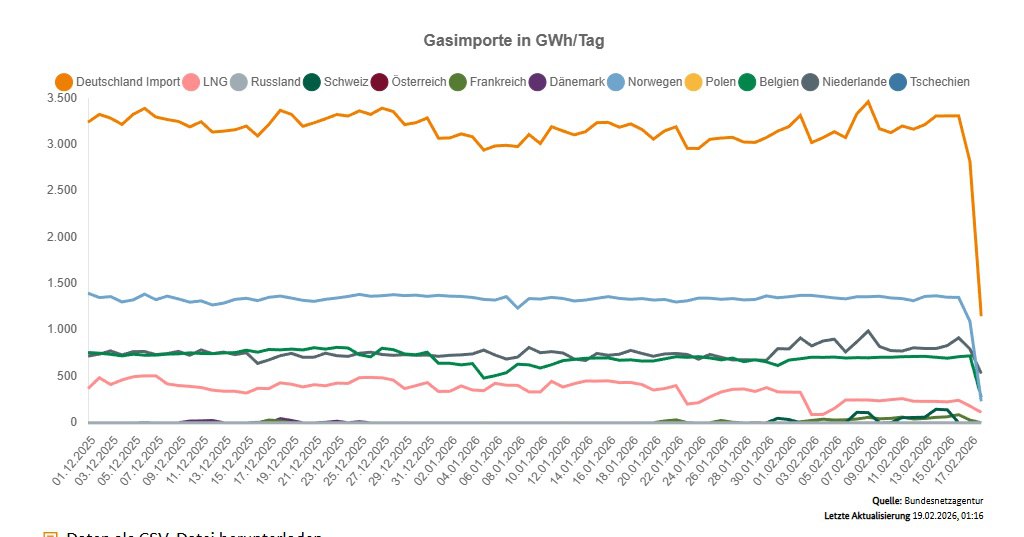 Carolin Bachmann MdB tweet media