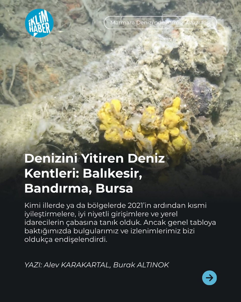 iklimhaber's tweet photo. 2021’de Marmara’yı boğan müsilaj kabusunun üzerinden dört yıl geçti. Müsilaj hâlâ orada, peki biz neredeyiz?

Alev Karakartal ve Burak Altınok, 8 bölümlük haber araştırmasıyla bu sorunun peşine düşüyor. Serinin tamamına web sitemizden ulaşabilirsiniz. https://t.co/NGanE22yOJ