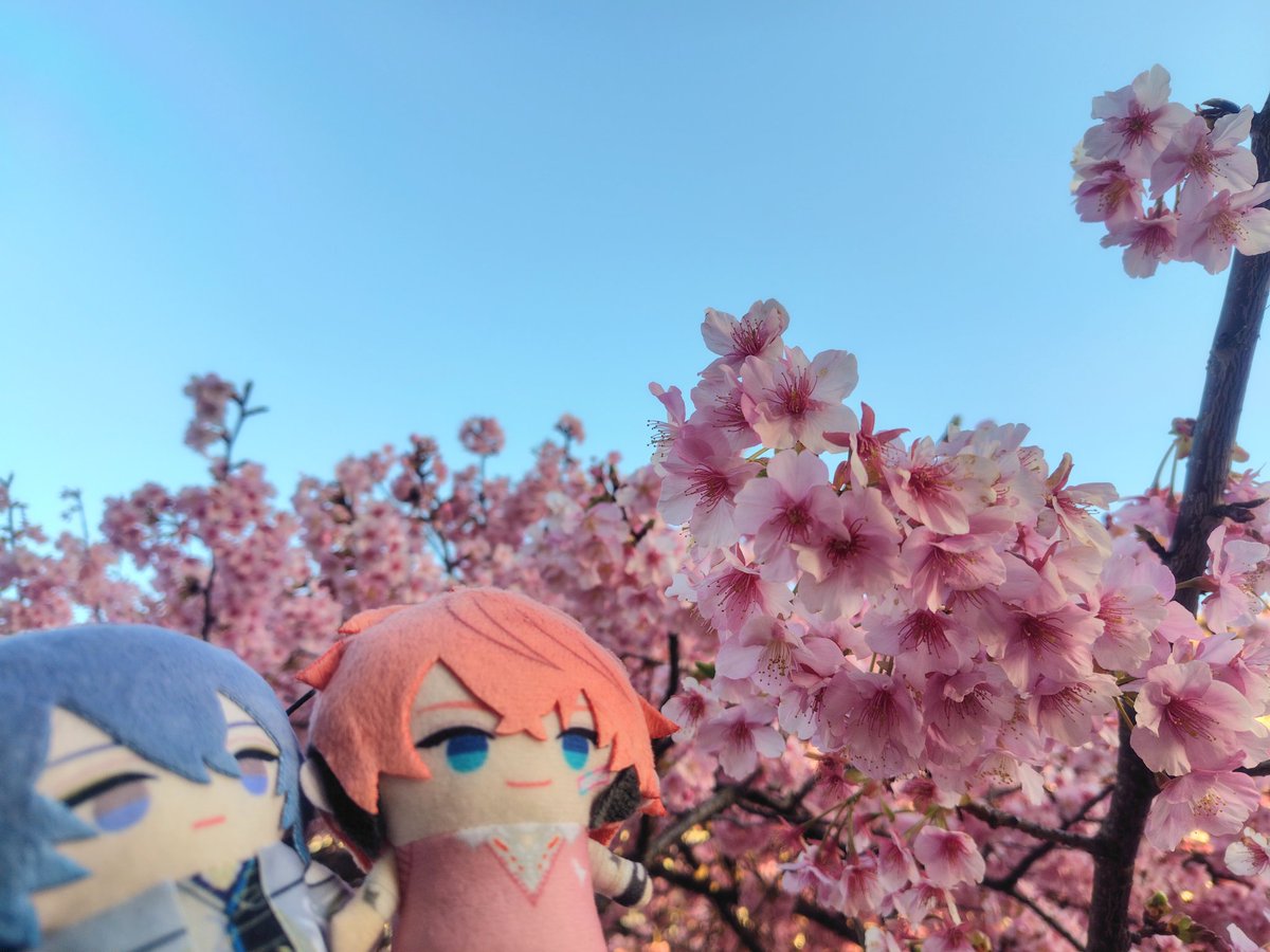 24ppppp34's tweet photo. 冬のぎゃうるふ描く前に春になってしまう… https://t.co/I76bnR5EyG