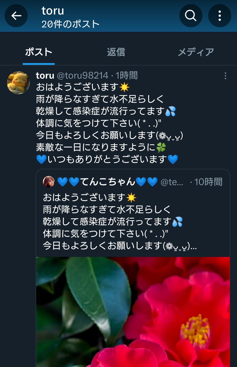 お願いです💦 この垢 @toru98214 てんこの引用リツイートし コメントも