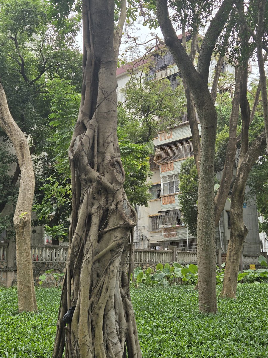 Pierre-Arnaud Donnet tweet media