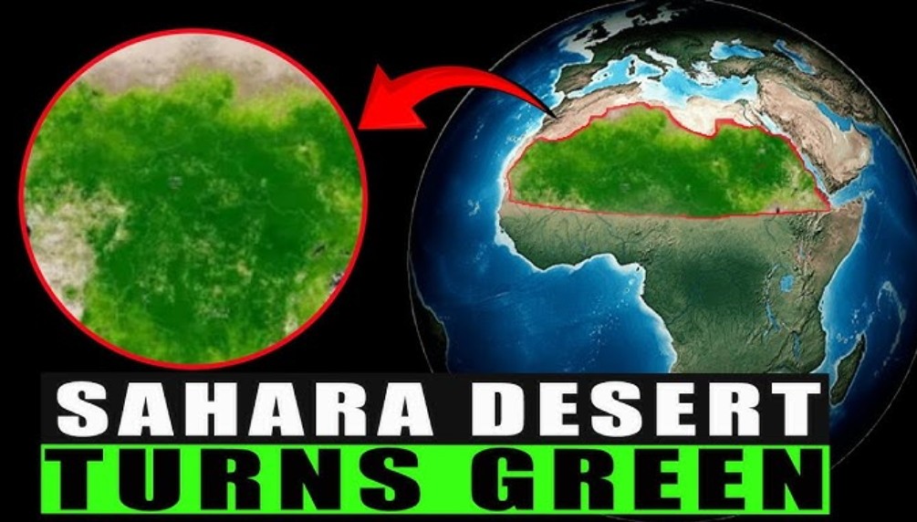 Peter Clack (@PeterDClack) on X