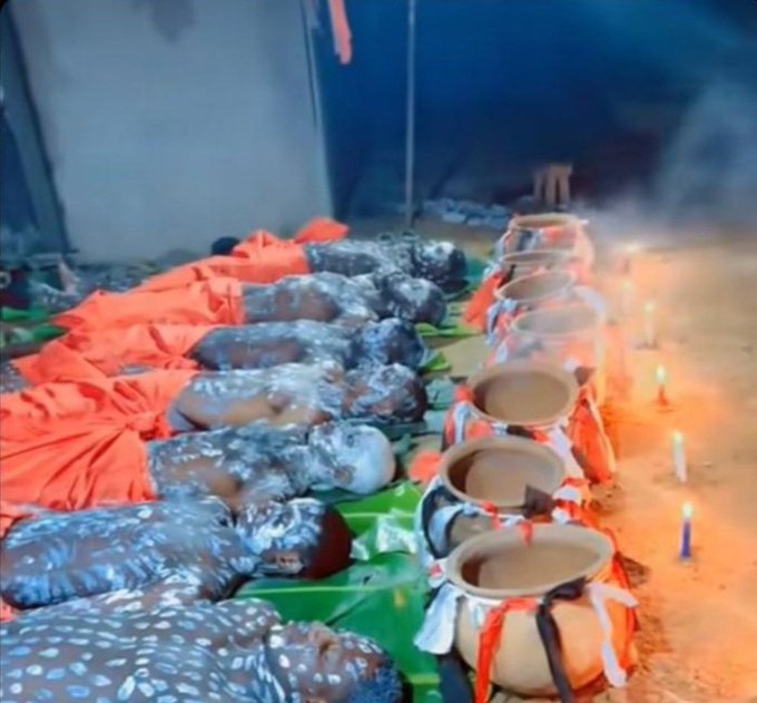 emirate🕊️ tweet media