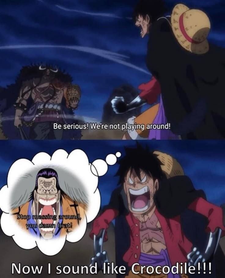 One Piece Daily tweet media