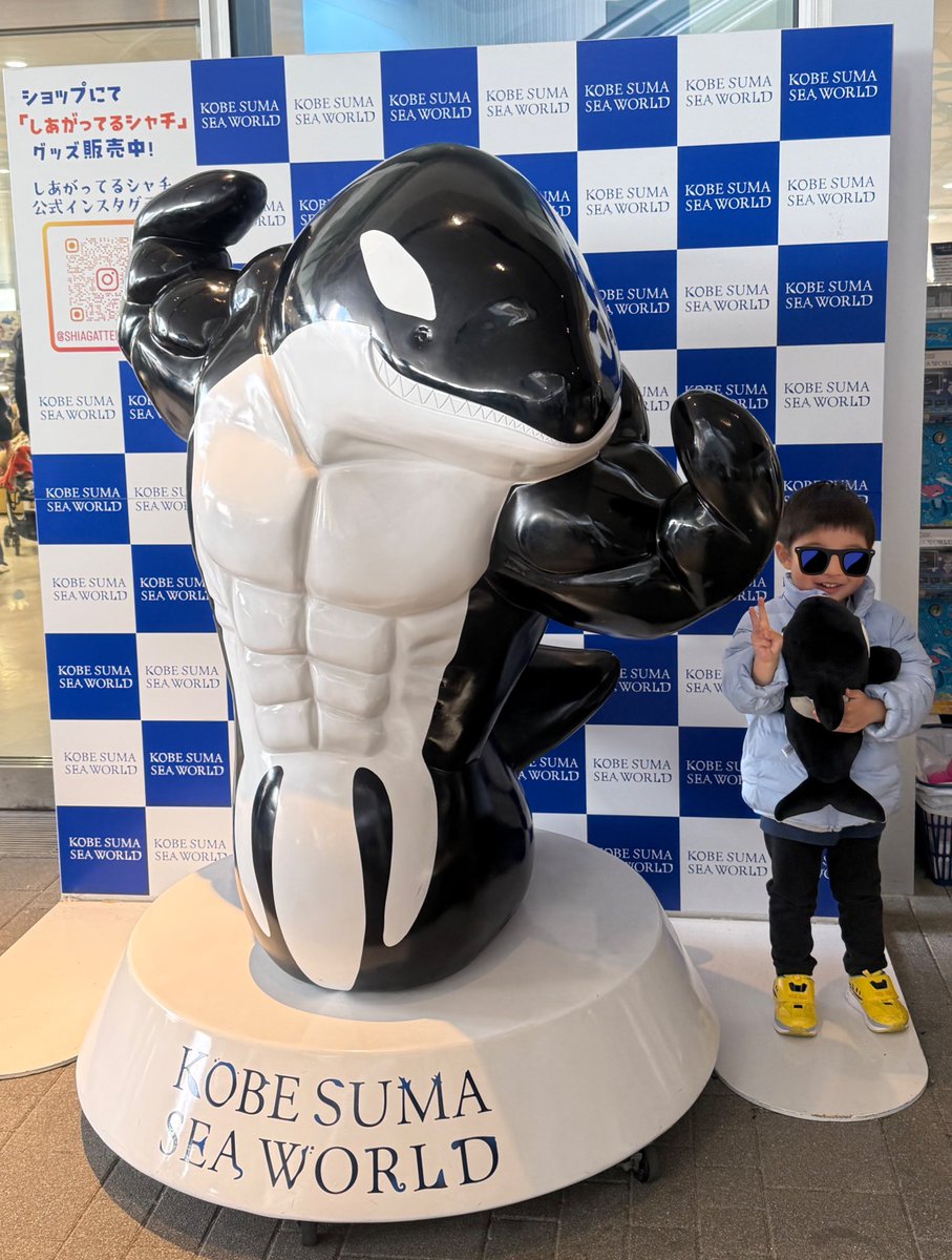 ojojo510's tweet photo. 実家なうです。
オルカに浮気してきました。笑
大迫力のショー楽しかったー！
勿論イルカも見たよ！🐬
オルカくじもイルカくじもやって、それぞれのぬいぐるみゲットして大喜びしてたのに、一番最後にムスッコがショップで欲しがったのは見たこともないセミクジラという謎のクジラのフィギュアでした🐳 https://t.co/ctgksB6INW