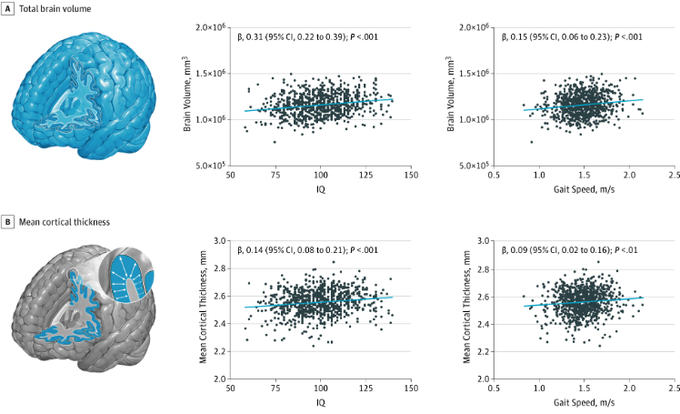 Path of Men tweet media