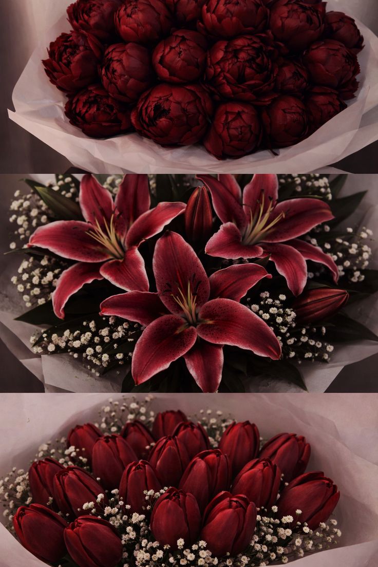 Flowers Life tweet media