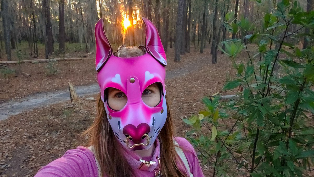 MyPuppyLife tweet media