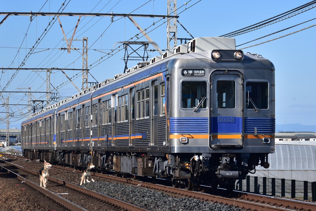 あまりにも自然に入り込んでるな……🐕