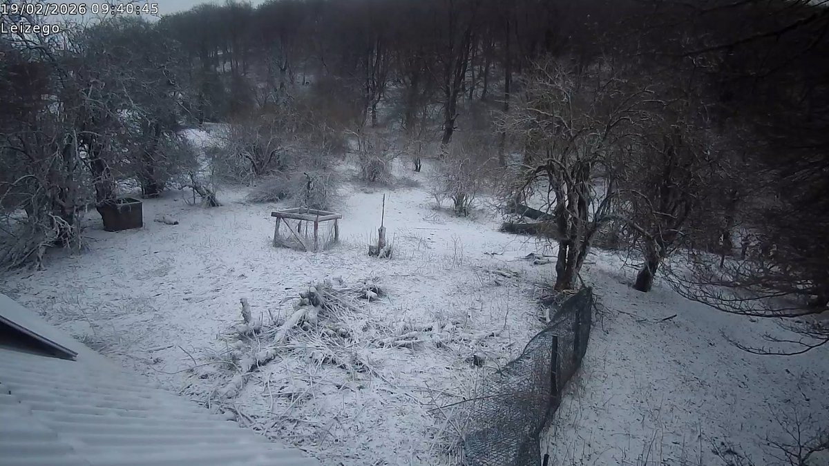 iñaki lizarraga tweet media