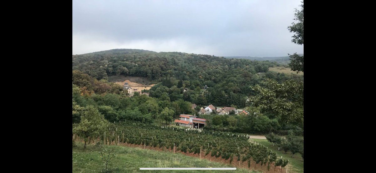 MatthewLB.TGN tweet media