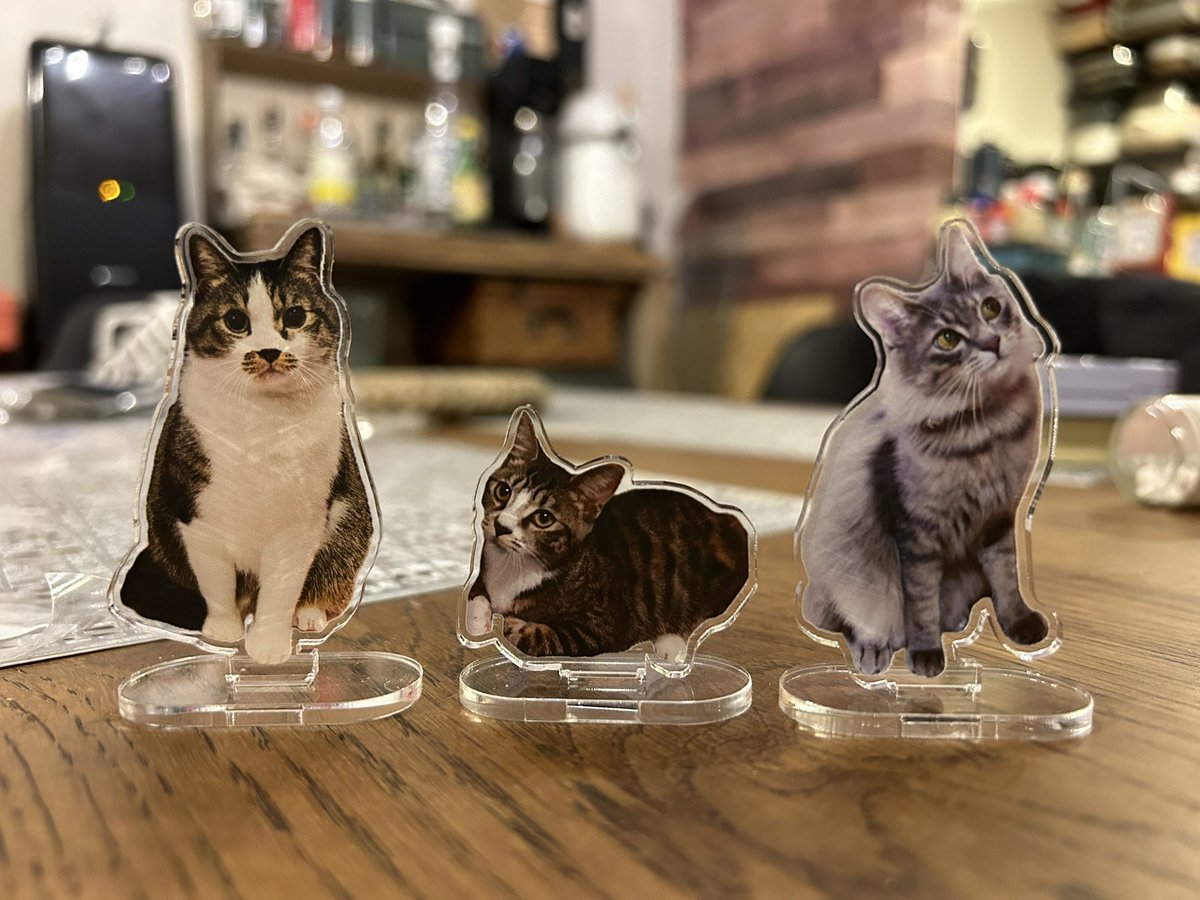 うちの子のアクスタはいいぞ！ 猫ちゃんを心配なくお外に連れて行ける