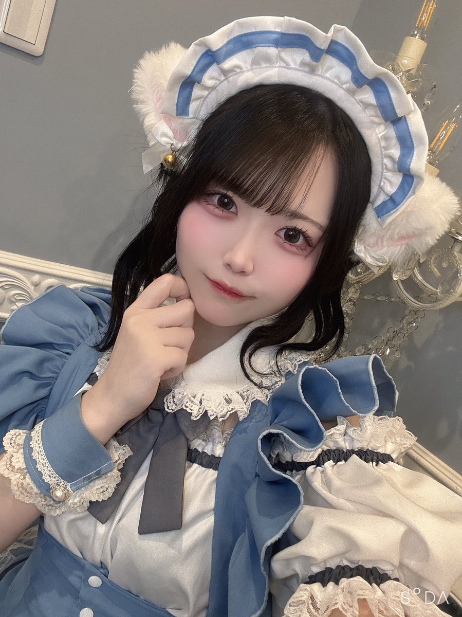 🌟18:00~22:00🌟 めじさんここさんと！ 🪼ヘアしたのに猫耳で見えなー