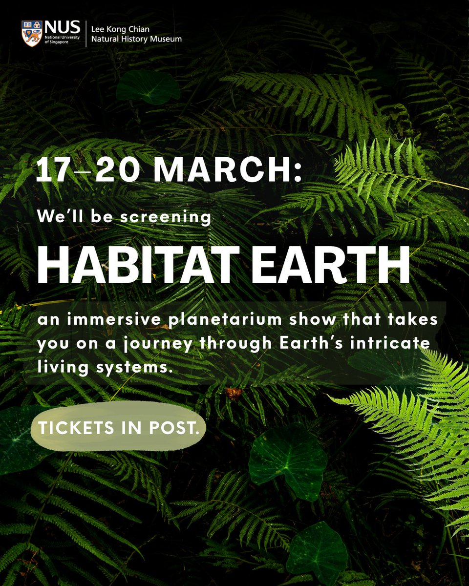 Lee Kong Chian Natural History Museum tweet media