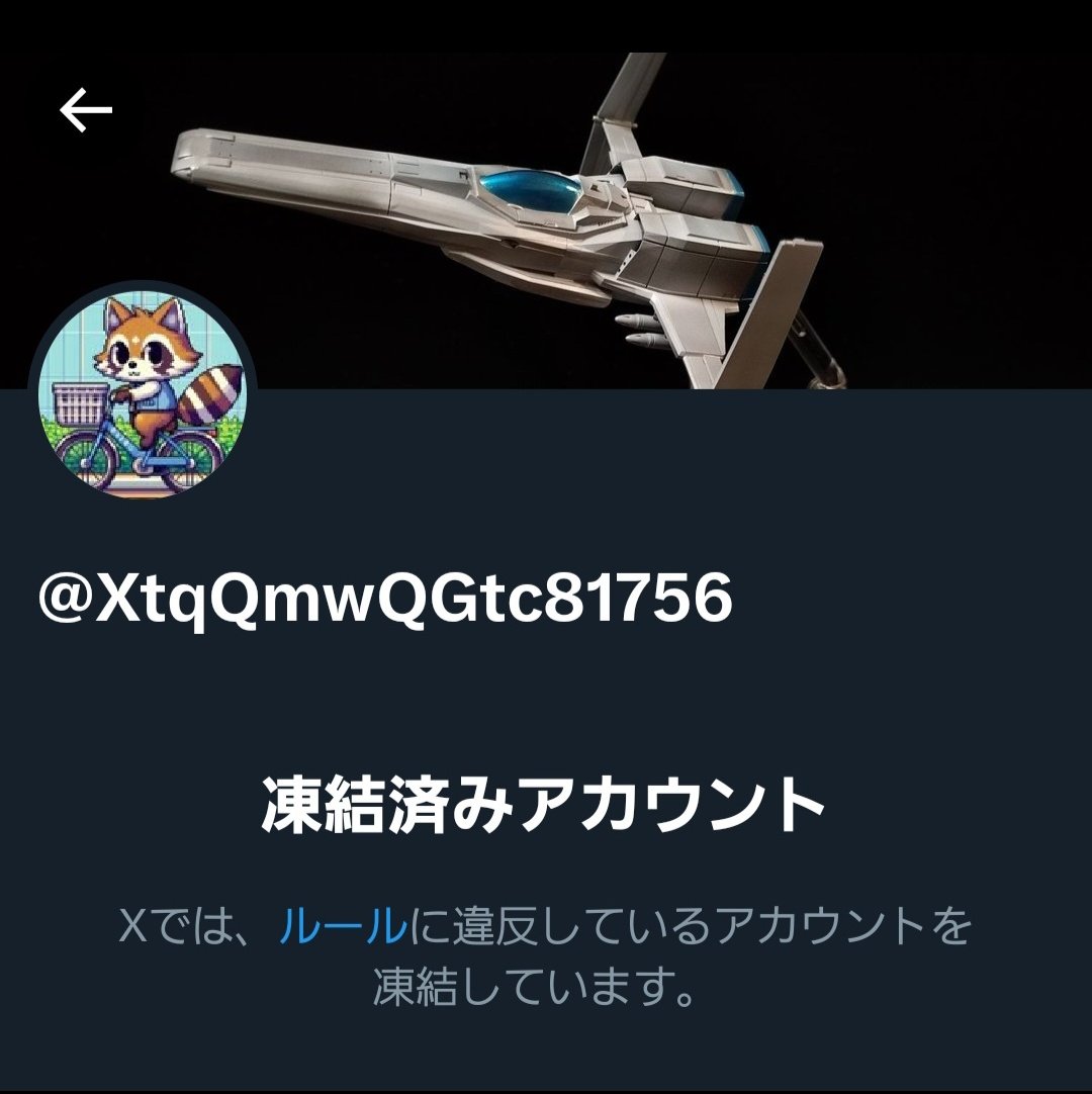 新アカ作っても規約違反してるからすぐ凍結するだろうなと思ったら