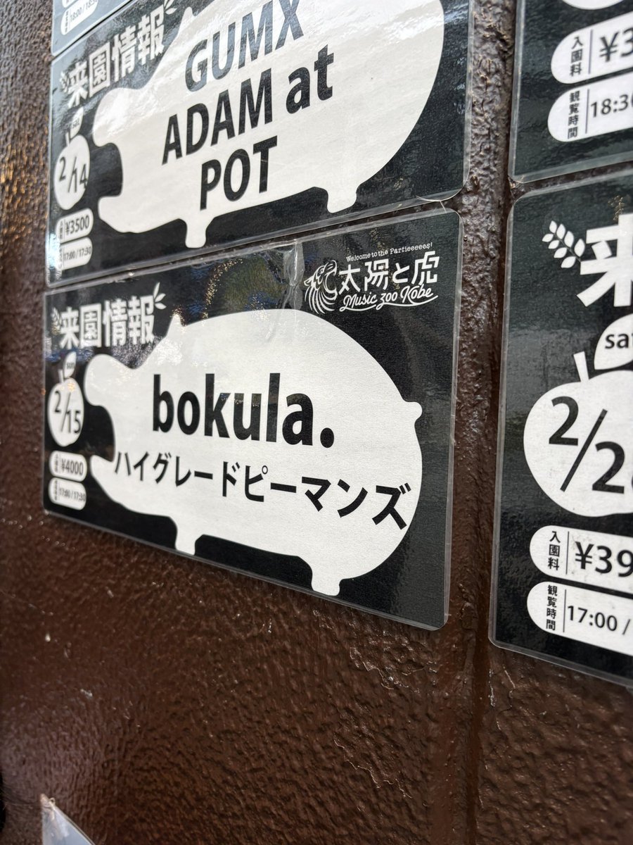 pnpii_'s tweet photo. 2/15 bokula. ハイグレードピーマンズ

前日に猛烈に行きたくなって、
急遽チケット取って行ったけど大正解すぎた✨

bokula.は安定に最高👏

でもなにより、ハイグレードピーマンズが良すぎた！！MCも刺さるし、曲も刺さるし、一気にファンなって毎日聞いてる😂

いい出会いに感謝💗 https://t.co/q5gDPRvlqg