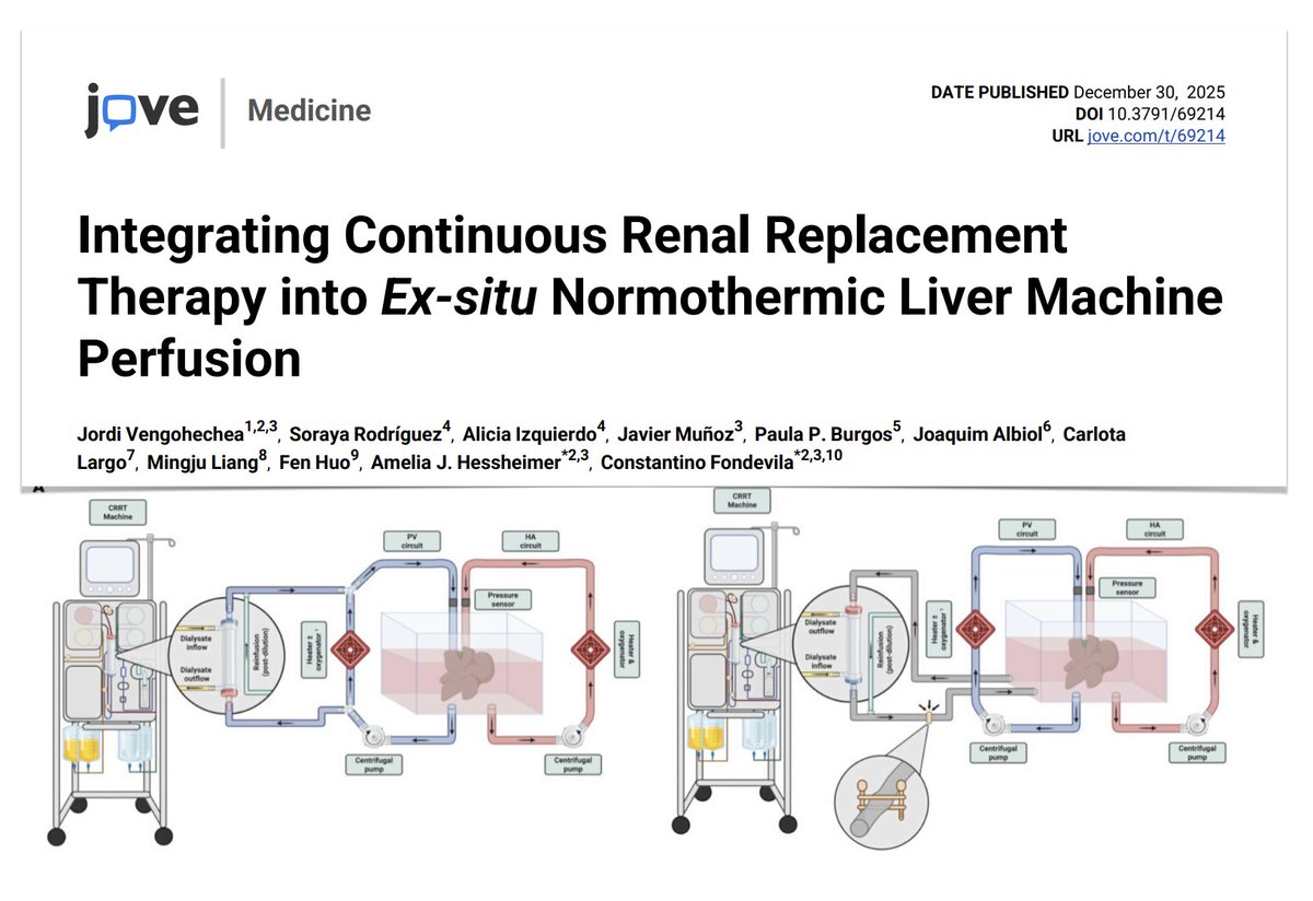 M Velia Antonini tweet media