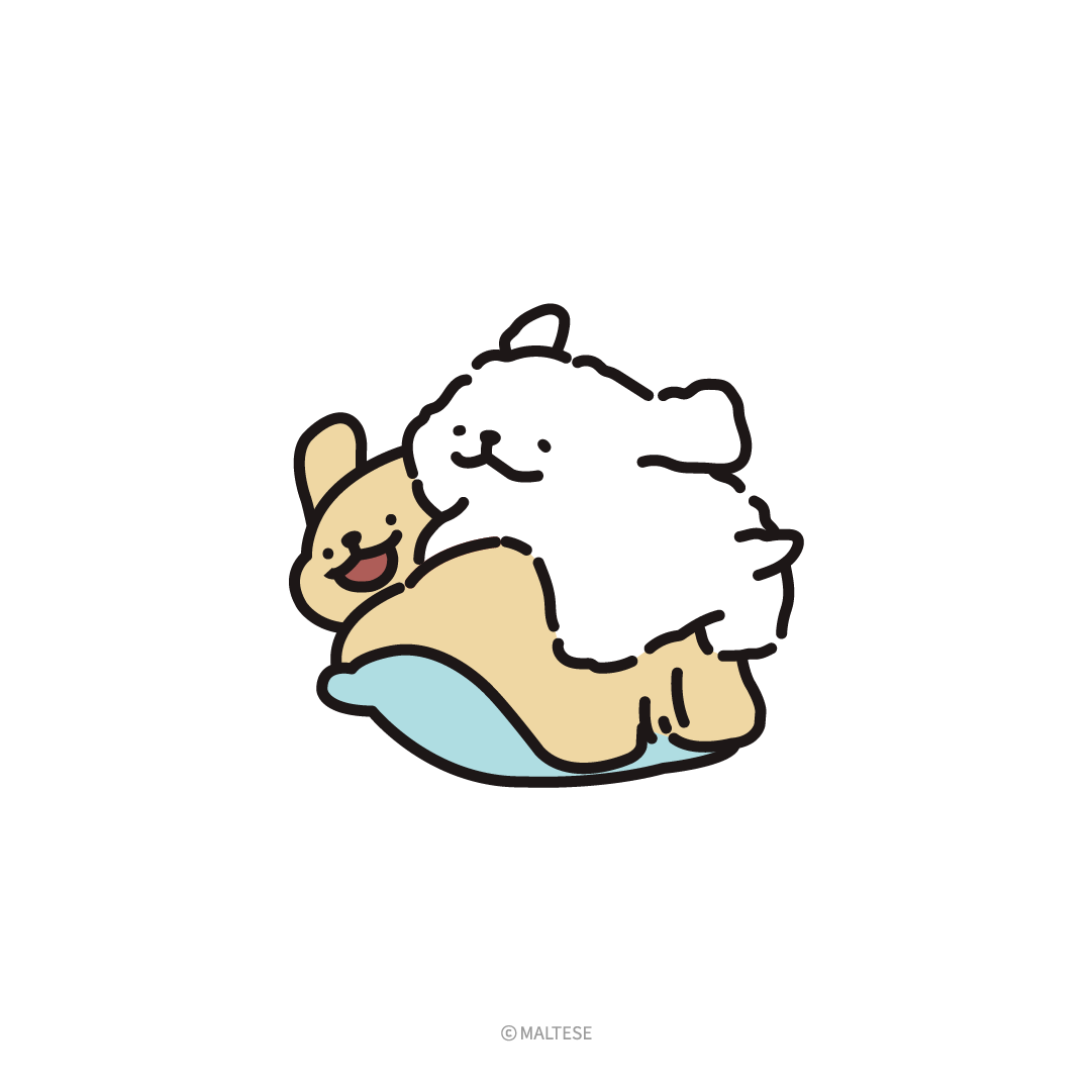 モルチーズ【公式】 tweet media