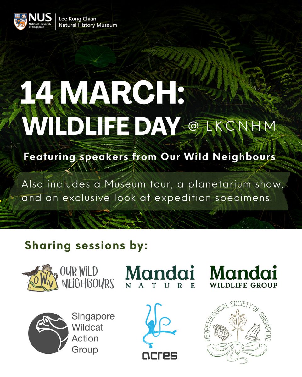 Lee Kong Chian Natural History Museum tweet media