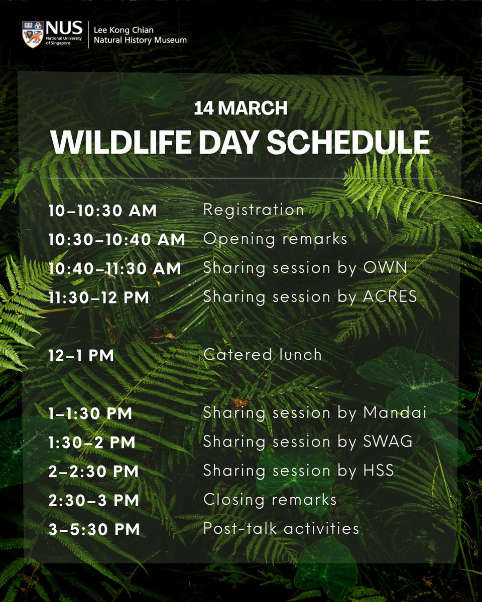 Lee Kong Chian Natural History Museum tweet media