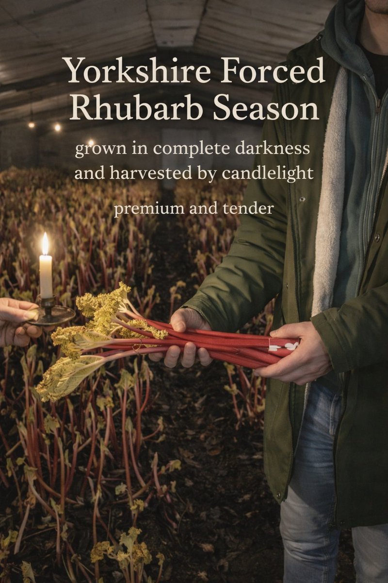 First Choice Produce tweet media