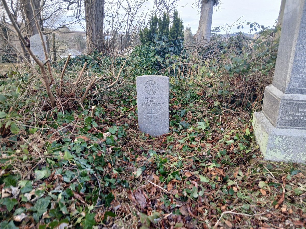 Iain Anderson tweet media