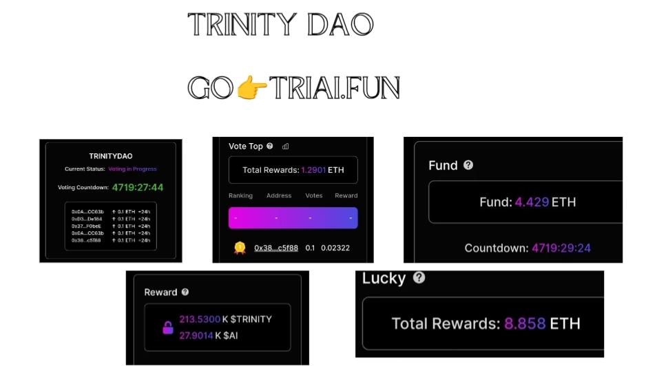 TRINITY 🛡️ tweet media