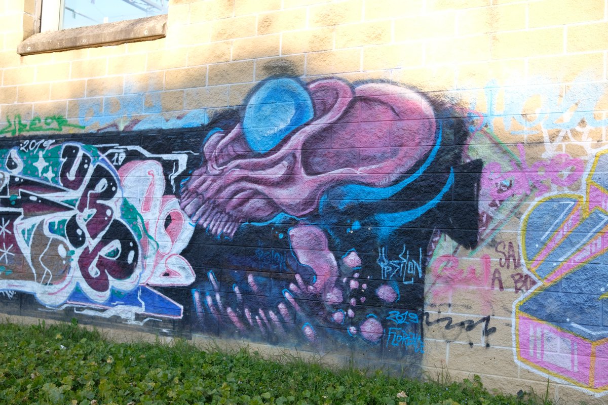 Portale Giovani tweet media