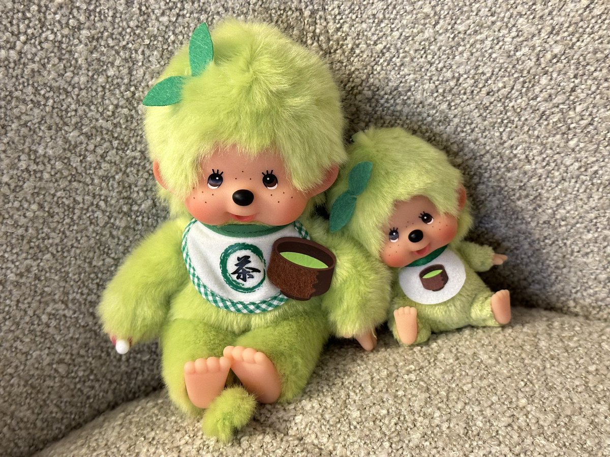 可愛すぎる抹茶モンチッチ 🍵🍃
これからよろしくね💚