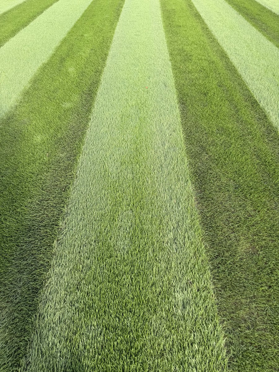 Groundsmanb3 tweet media
