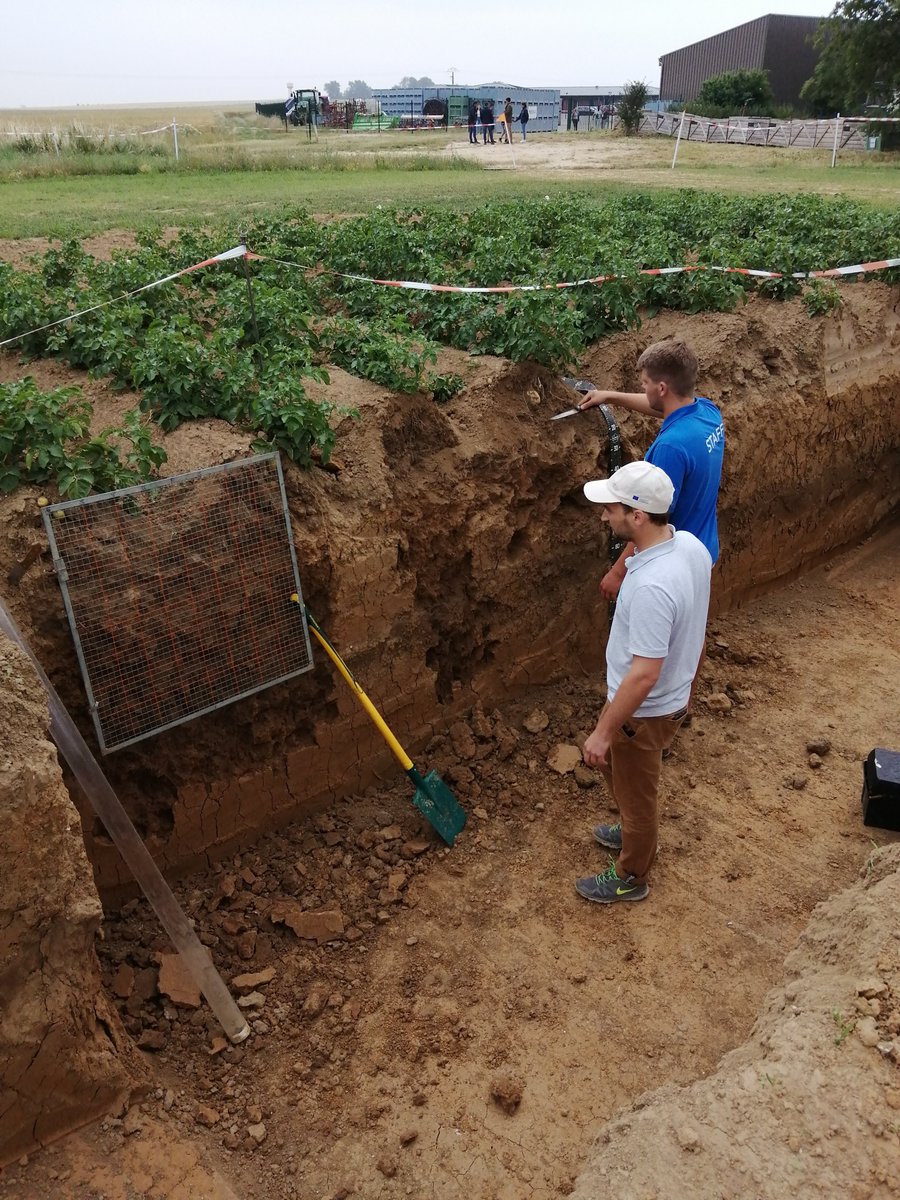 Root2Res tweet media