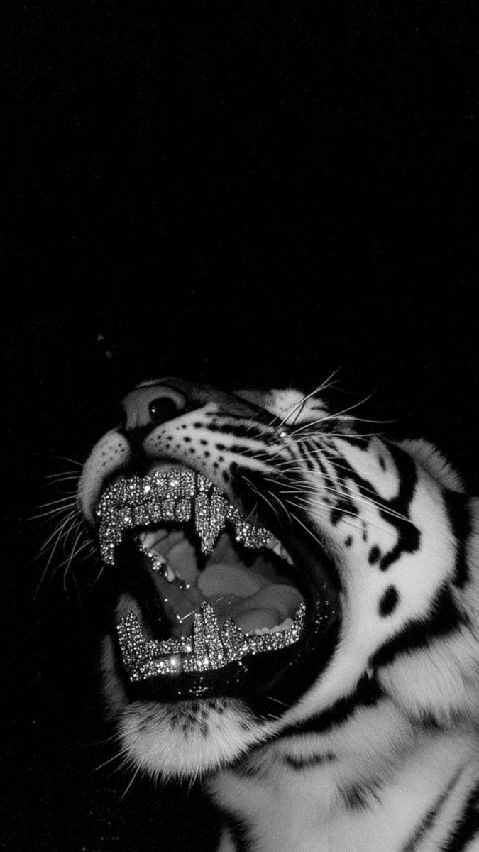 Artzchillect's tweet image. 