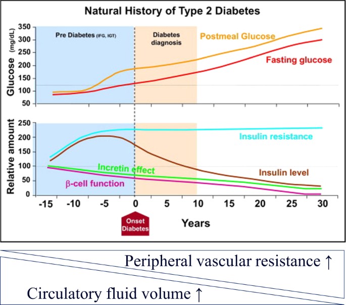 The Silent Phase of Diabetes

You don’t wake up diabetic.
You live insulin resistant for years first.

Long before diagnosis:
1) Insulin resistance rises
2) The pancreas compensates by producing more insulin
3) Blood sugar may still look “normal”

This is the silent phase.