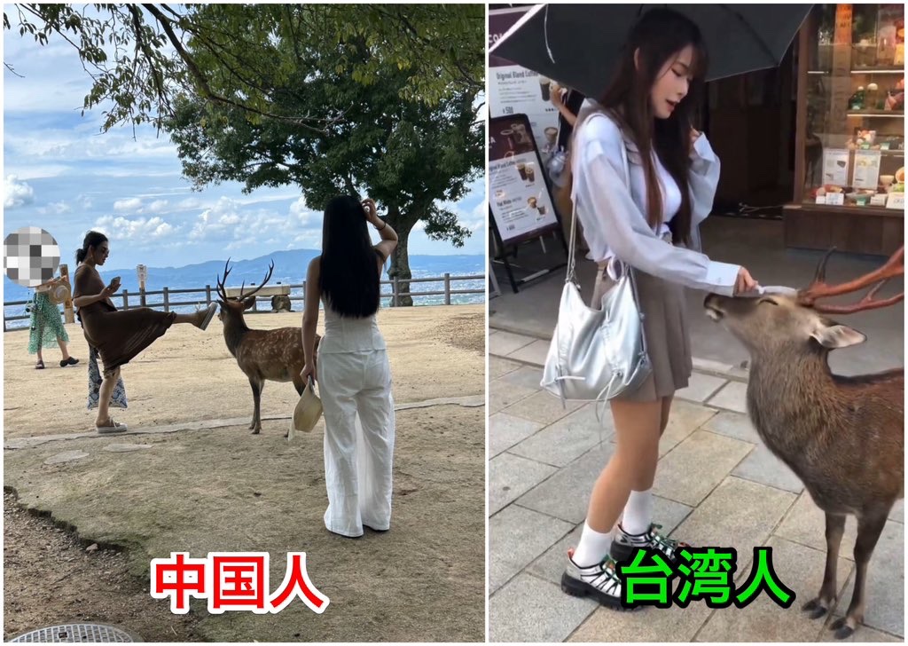 鹿さんも人を見る目がありますね🦌