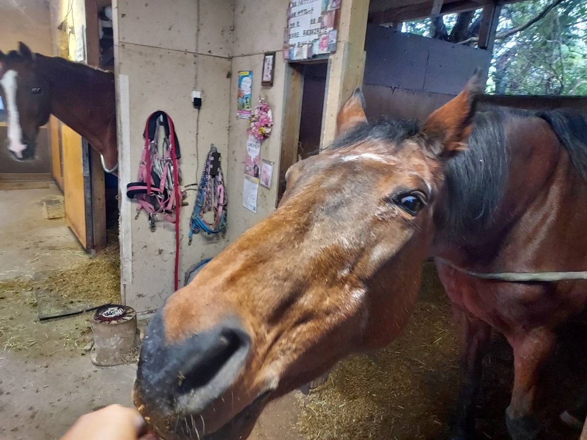 Casper Wei tweet media