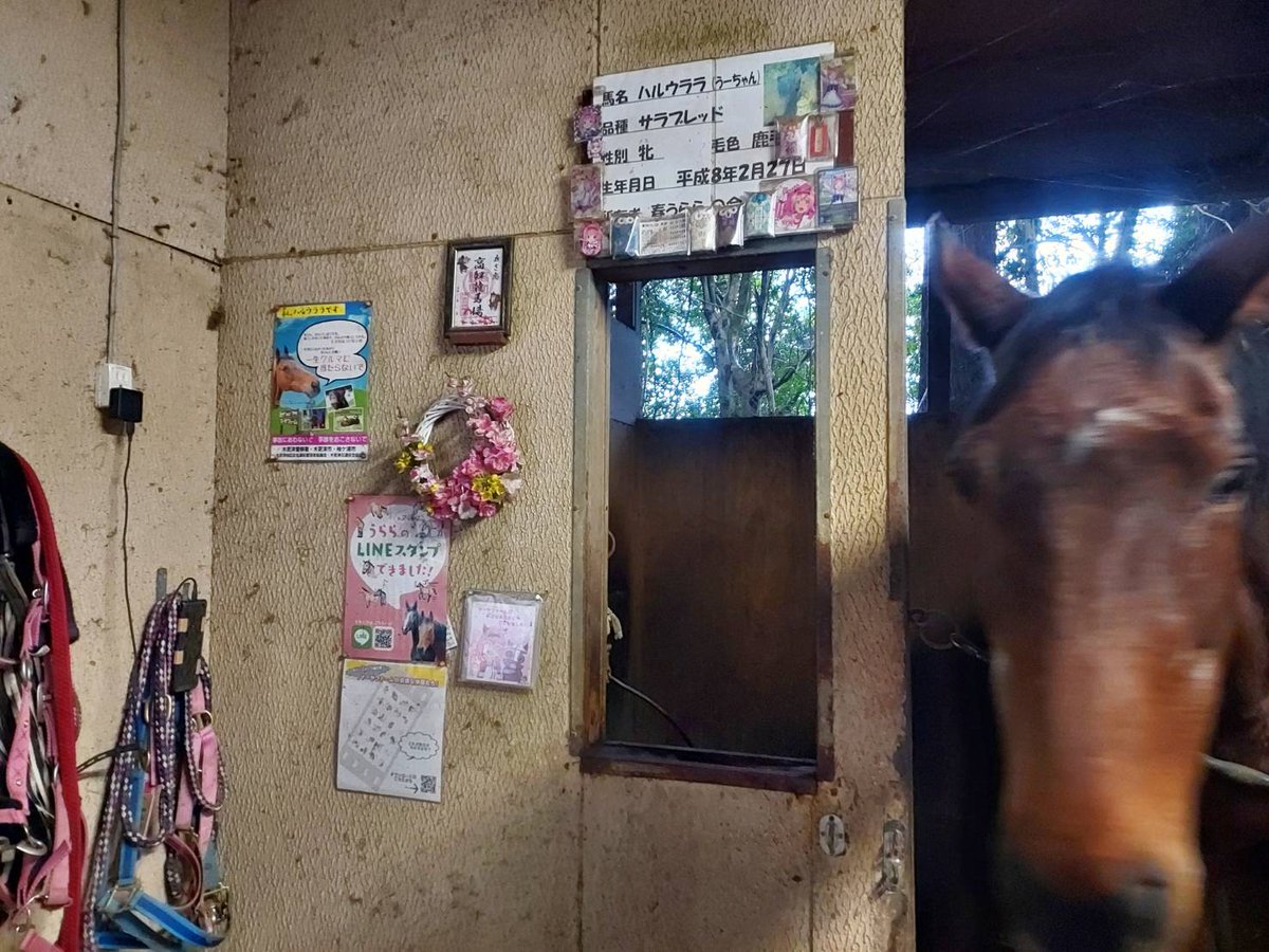 Casper Wei tweet media