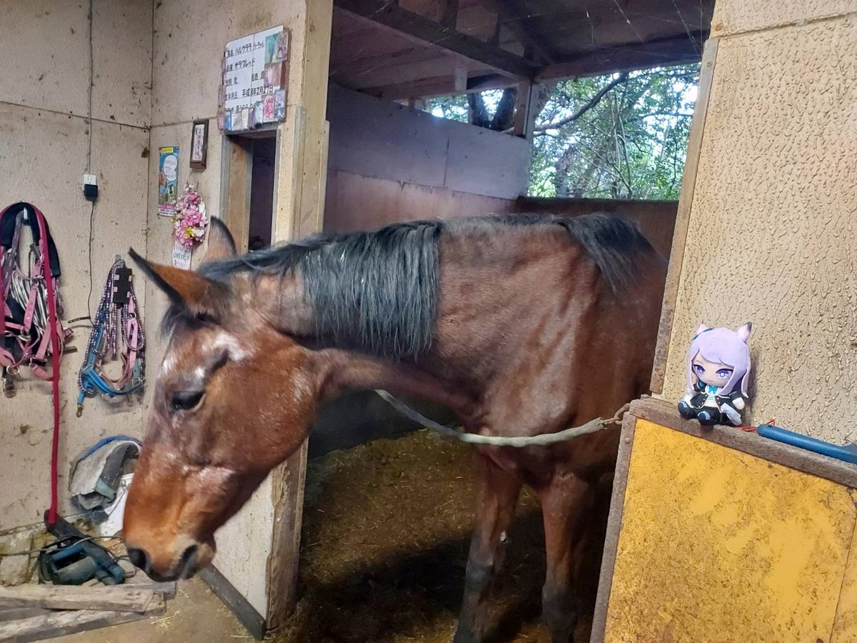 Casper Wei tweet media