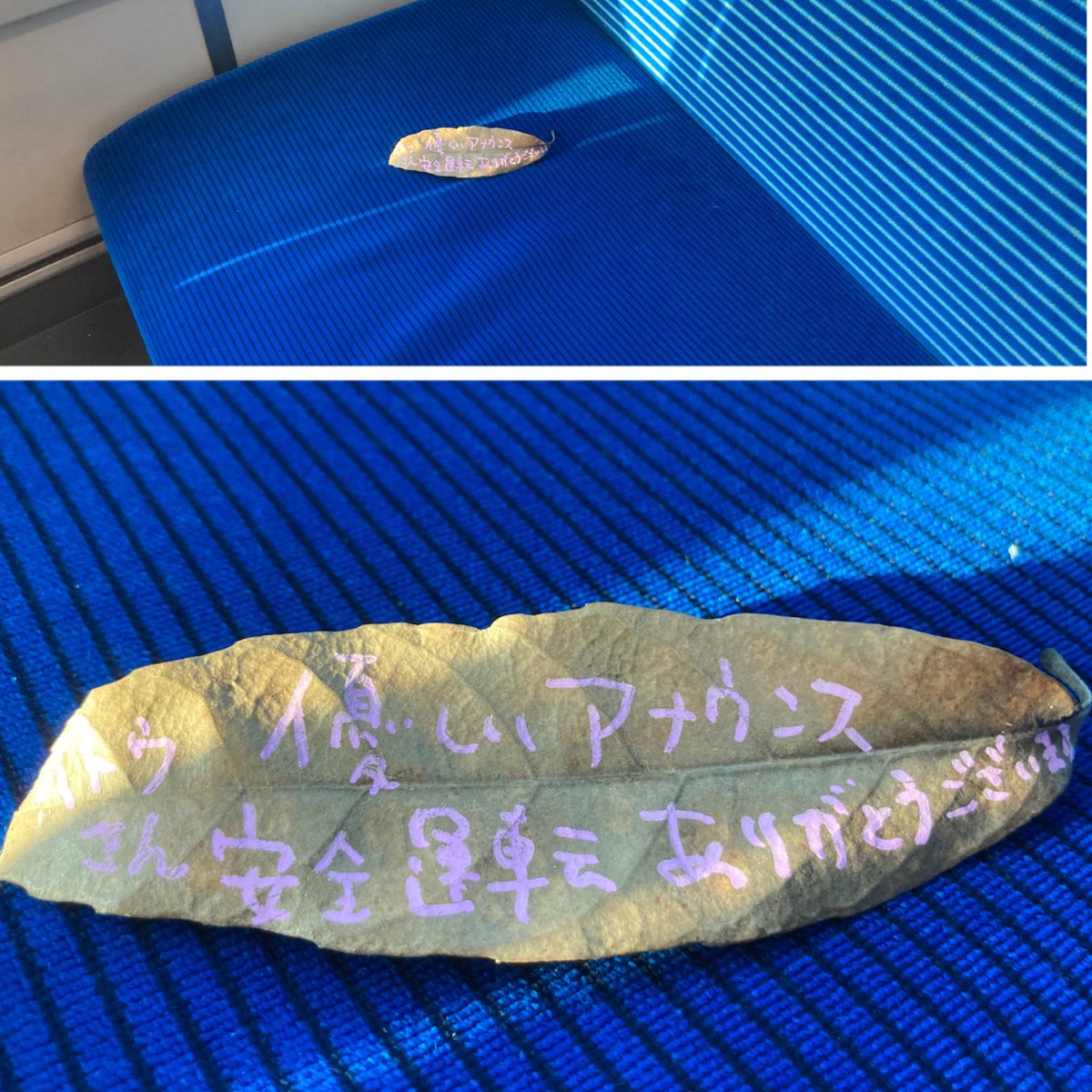 カズにゃん☘️手話に救われた人 tweet media