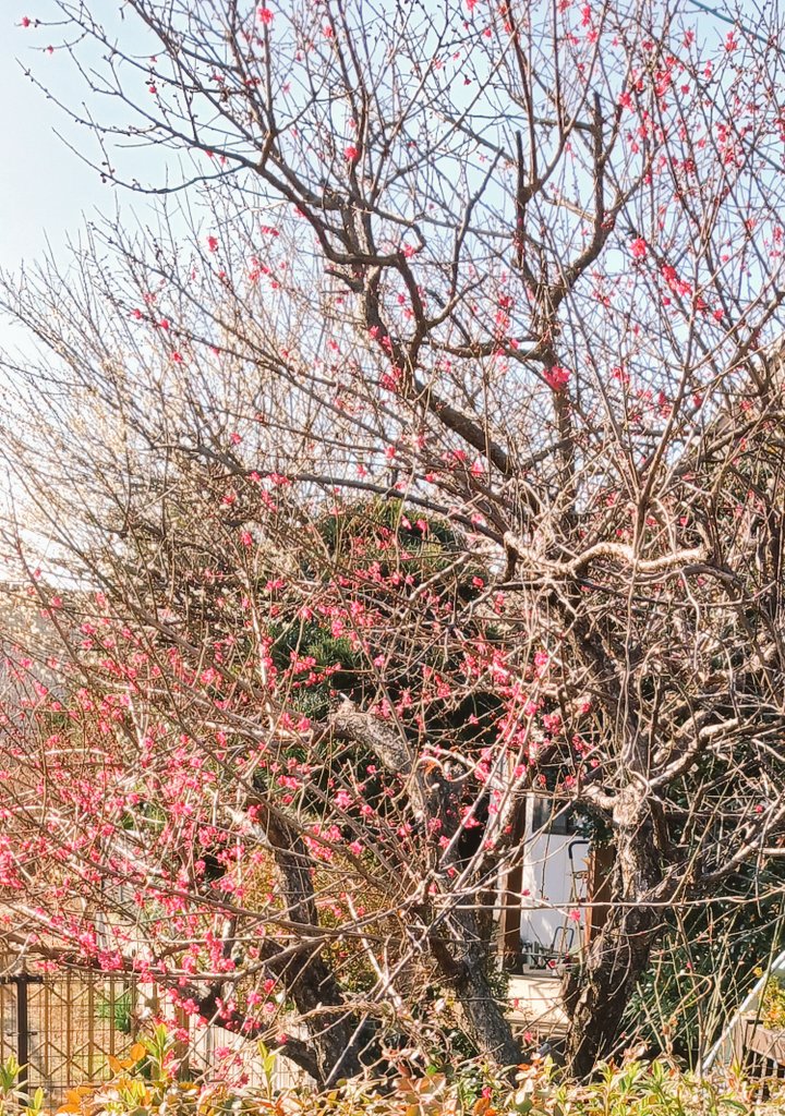 そう庫あや香 tweet media