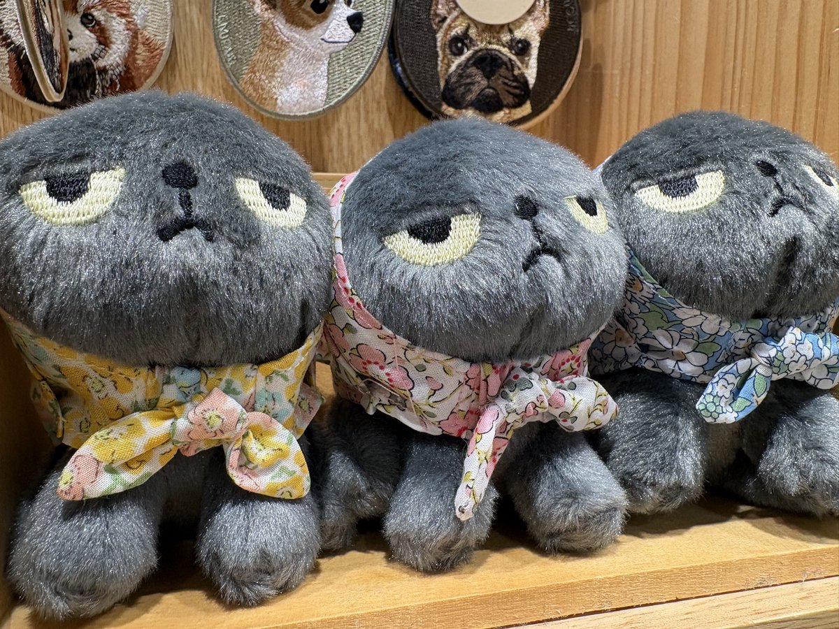 【アングリーマチコ】
マチコ巻きをしているキャラクター。
現代のストレス社会を怒り顔でたくましく生き抜きます🐱

出身地は福岡県✨
ということで、カワブンの看板猫になっていただきました🫶🏻

お立ち寄りの際はアングリーマチコさんを見てみてくださいね🙌🏻