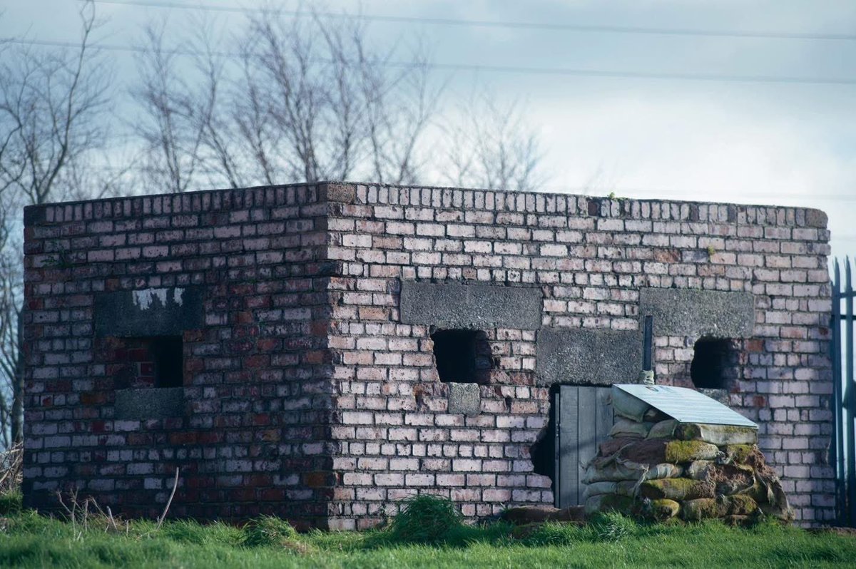 Staantribune tweet media